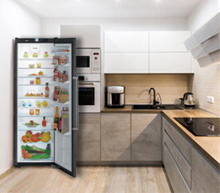 FREESTANDING FRIDGES